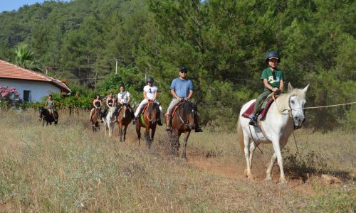 Fethiye-At-Safari-14