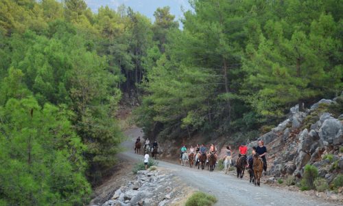 Fethiye-At-Safari-3