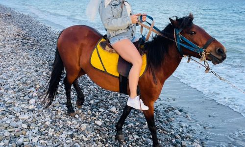 Fethiye-At-Safari-5